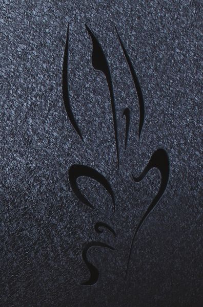 Піч rud pyrotron кантрі з варильної поверхнею 25 кВт [тип 03] декоративна обшивка +скло Кантри 03 стекло фото