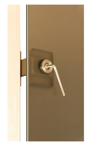 Двері для лазні та сауни Tesli Steel RS Magnetic 1900 x 700 5866 фото