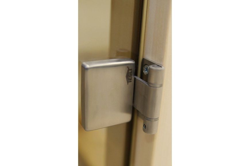 Двері для лазні та сауни Tesli Steel Sateen RS 1900 x 700 13542 фото