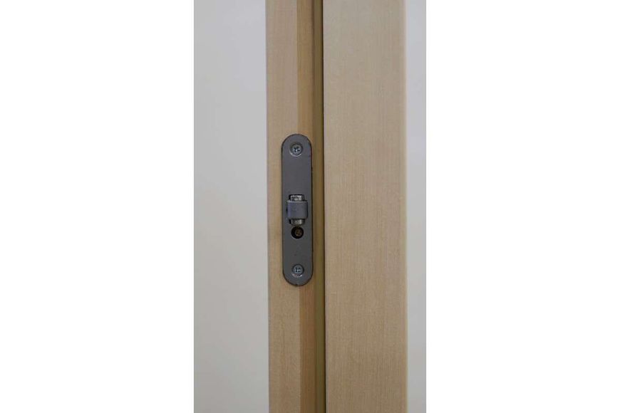 Двері для лазні та сауни Tesli Steel RS 2000х800 13590 фото