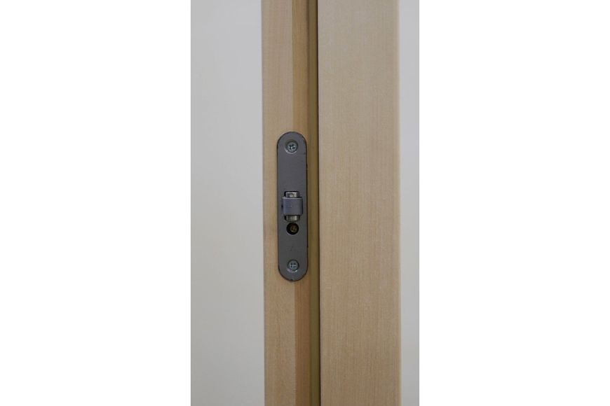 Двері для лазні та сауни Tesli Steel Sateen RS 2000х800 13593 фото