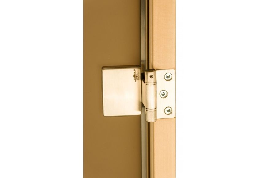 Стеклянная дверь для сауны Tesli Lux RS Magnetic 1900 x 700 6687 фото