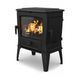 Чугунная мульти печь Dovre TAI 45M/E10 эмаль глянцевый черный - 9 кВт TAI 45M/E10 эмаль фото 1